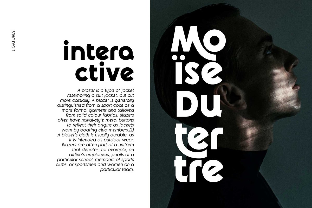 Reost   Stylish Modern Font Family Free Download