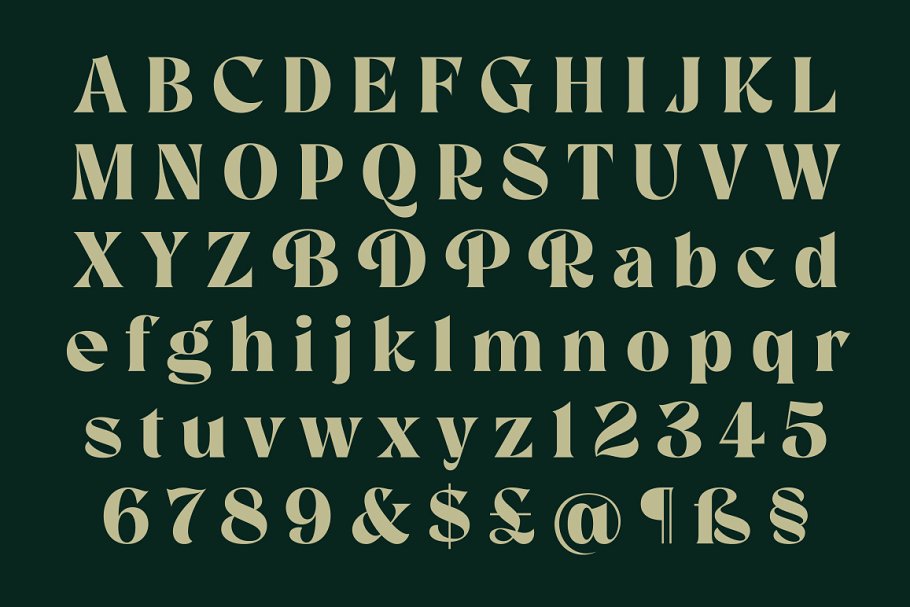 Room 205 Font Free Download