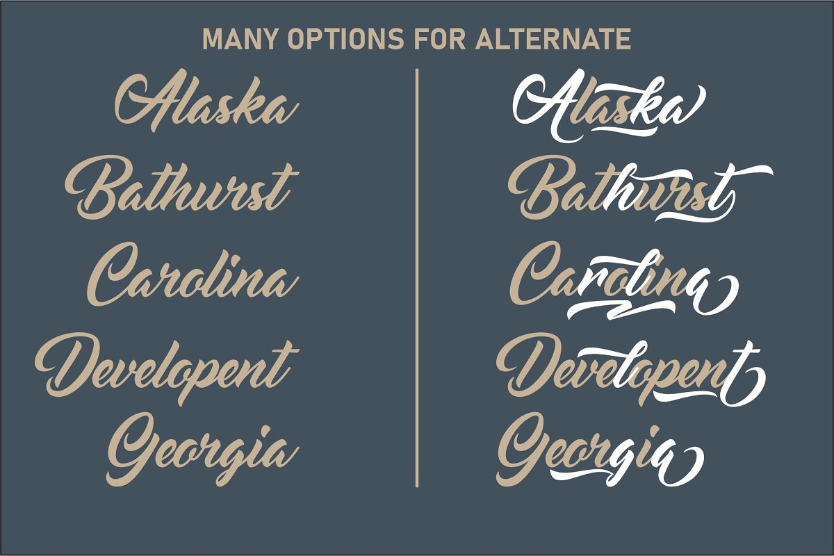 Rougbelt Modern Script Font Family Free Download Rougbelt Modern Script Font