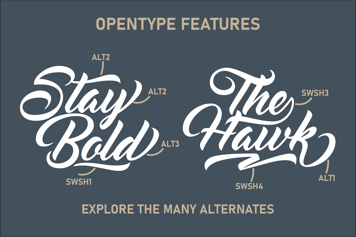 Rougbelt Modern Script Font Family Free Download Rougbelt Modern Script Font