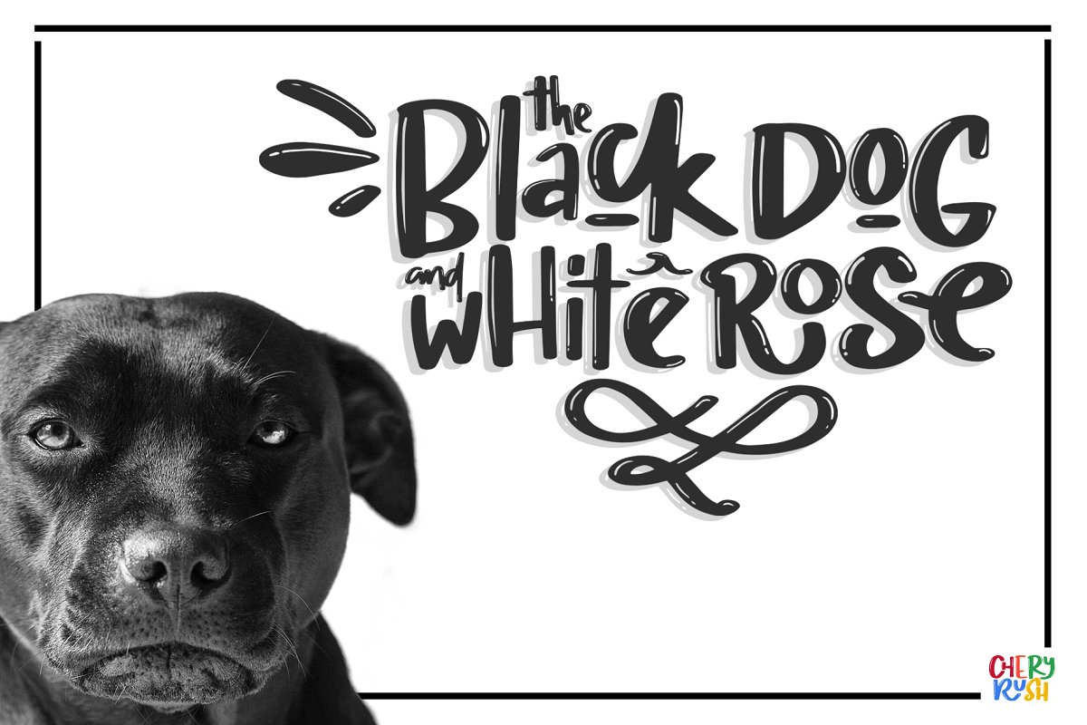 CHERY RUSH fun display Font