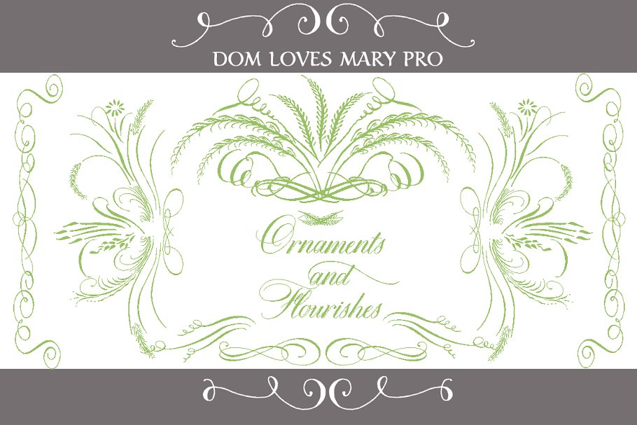 Dom Loves Mary Total Design Font