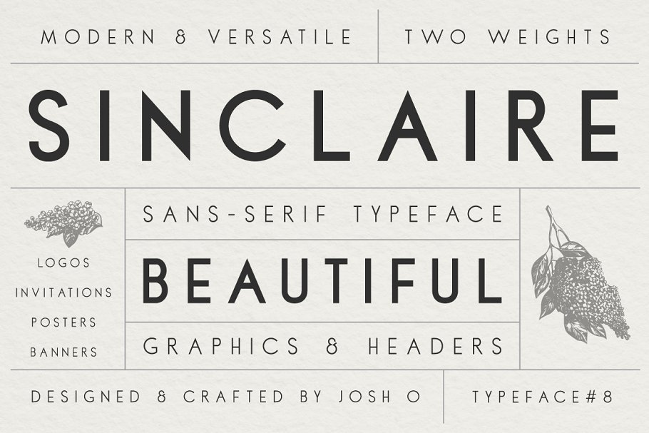 Sans Serif Typeface Collection Font