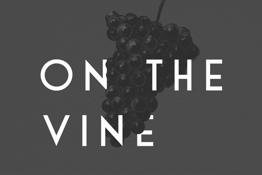 Sans Serif Typeface Collection Font