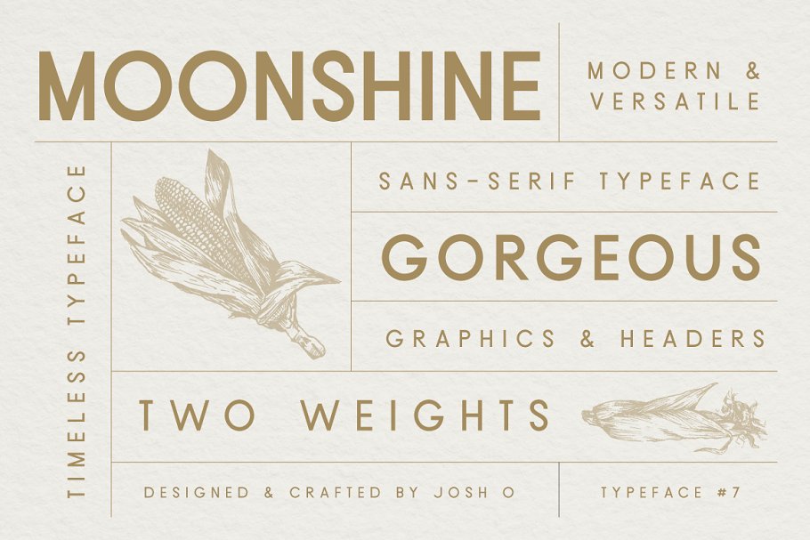 Sans Serif Typeface Collection Font