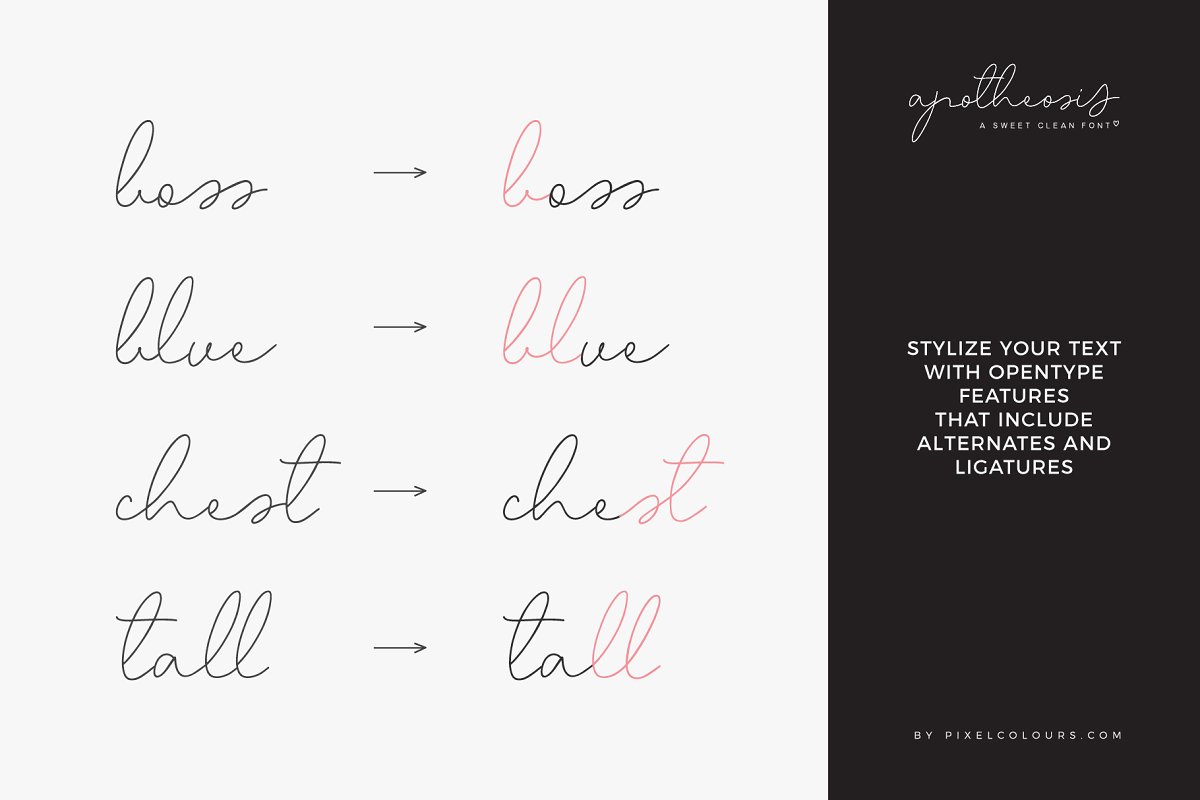 Script Font Apotheosis Free Download