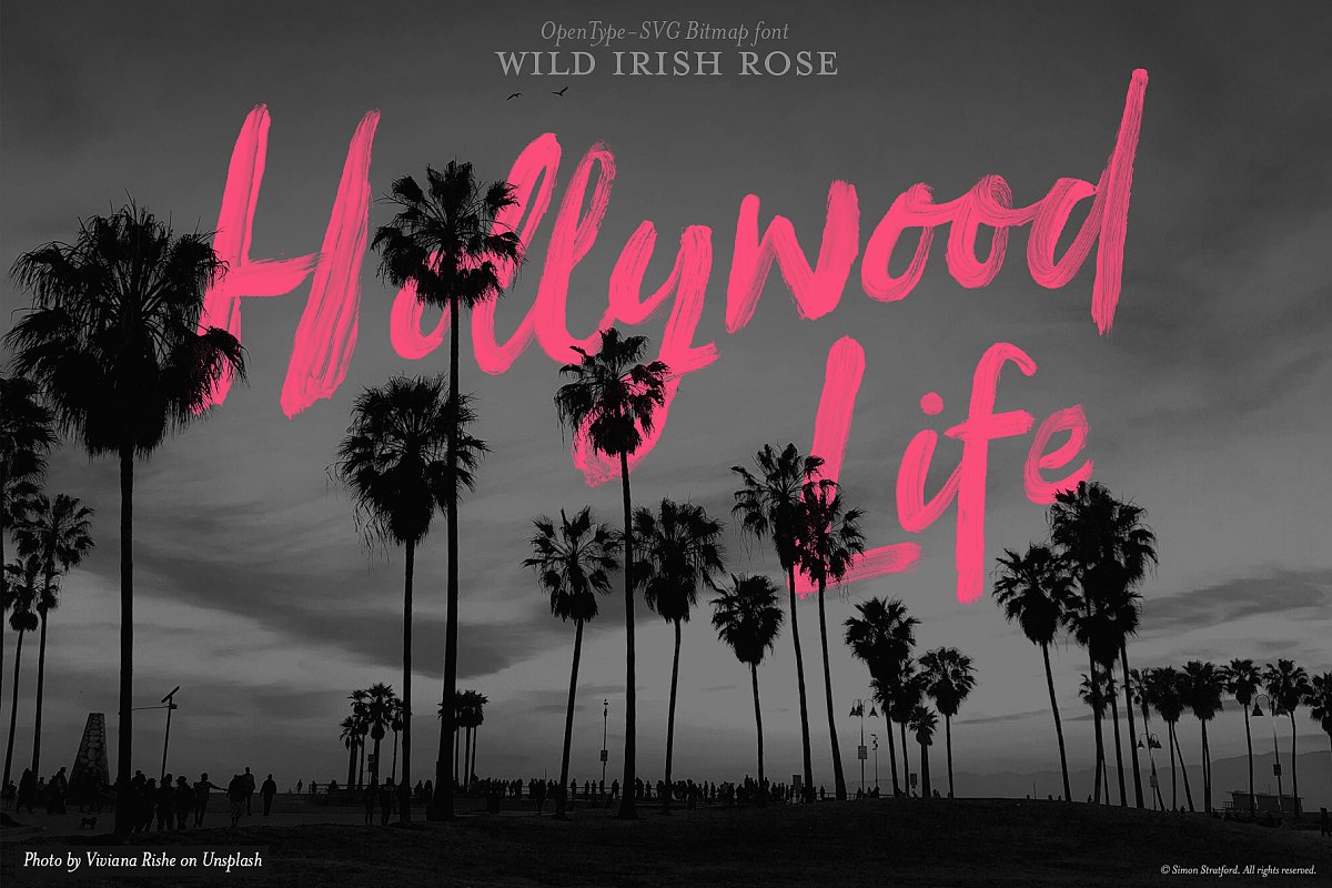 Script Wild Irish Rose Font