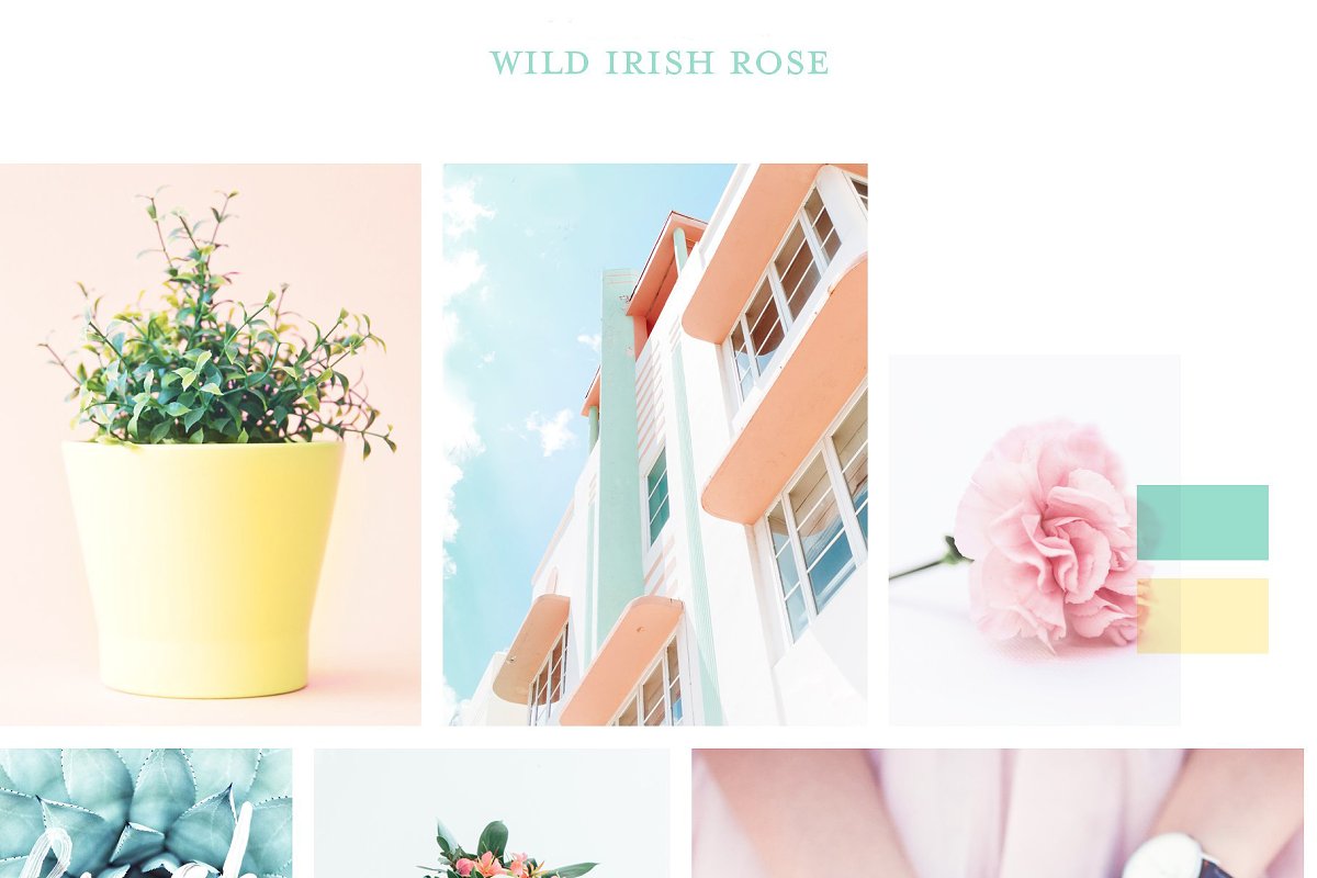 Script Wild Irish Rose Font
