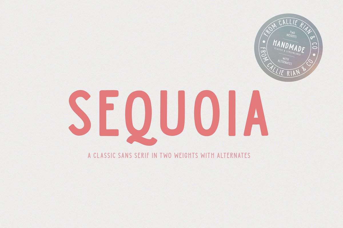 Sequoia Sans Elegant Display Font Free Download
