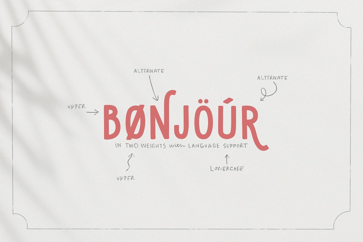 Sequoia Sans Elegant Display Font Free Download