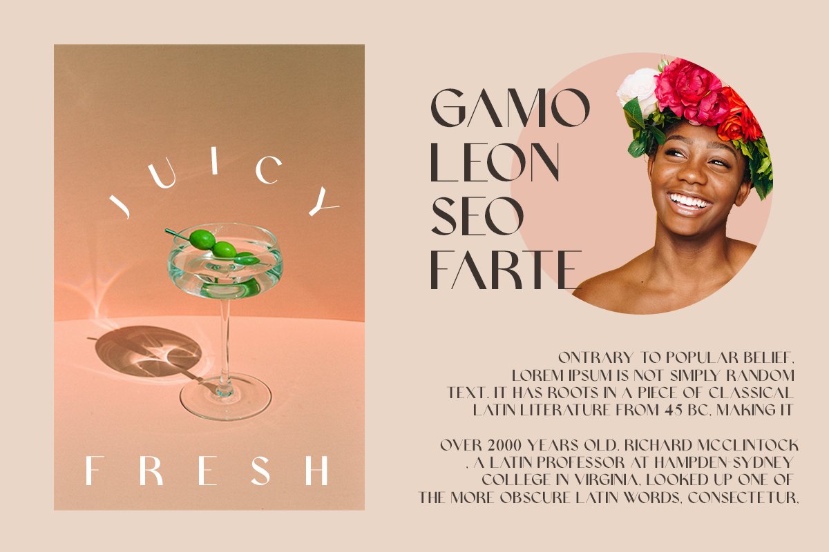 Skandi Modern Sans Serif Font