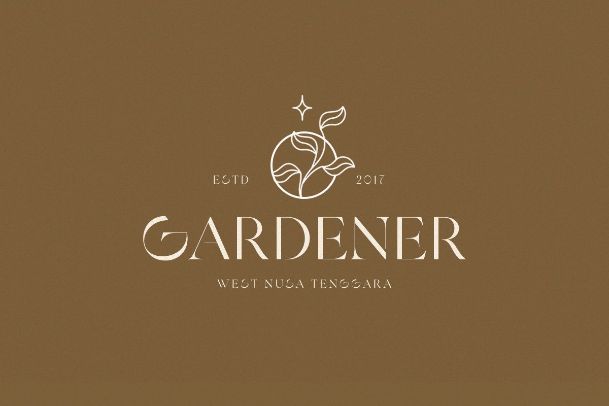 Skyrate Stylish Font Free Download