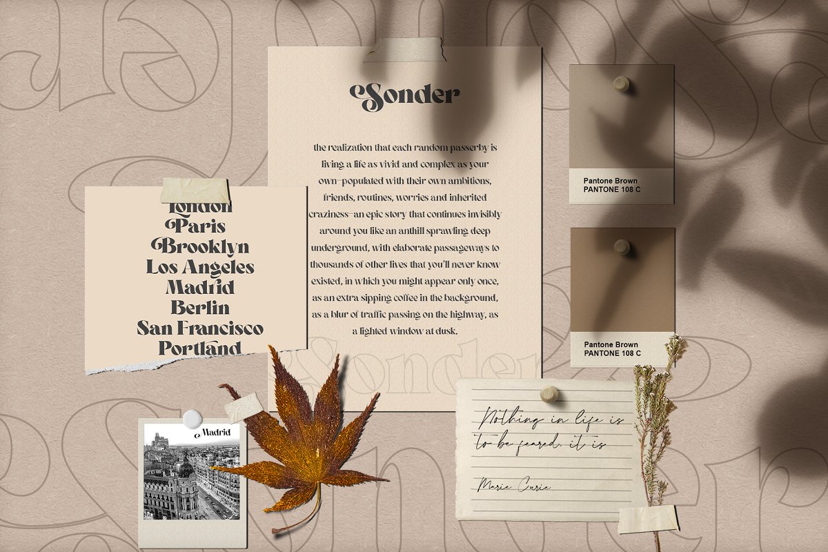 Sonder   Beautiful Serif Typeface Font Free Download