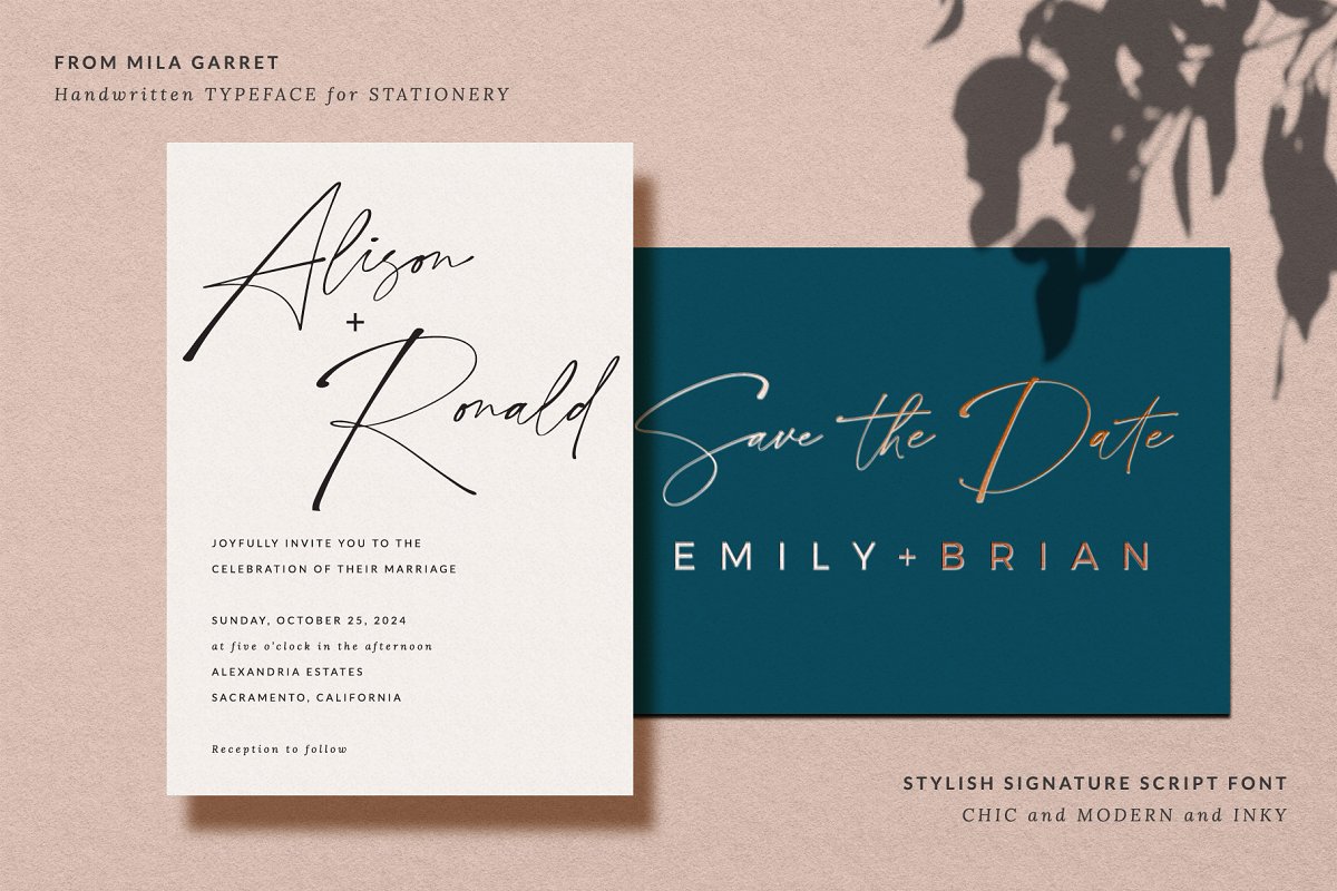 Stylish Signature Handwritten Script Font