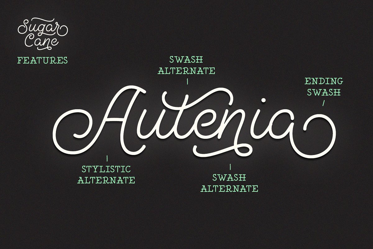 Sugar Cane Font Free Download