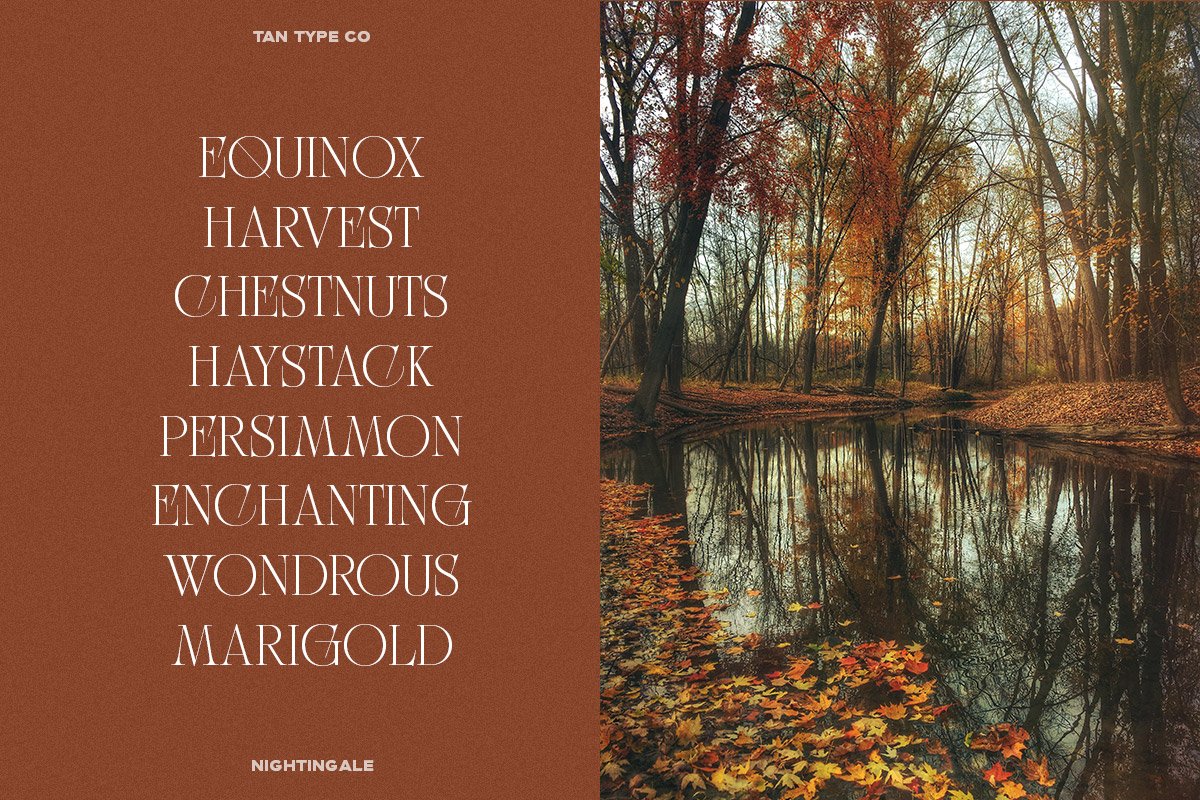 TAN NIGHTINGALE Font