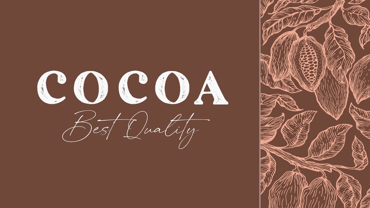 The Artisan A Hand Drawn Duo Font