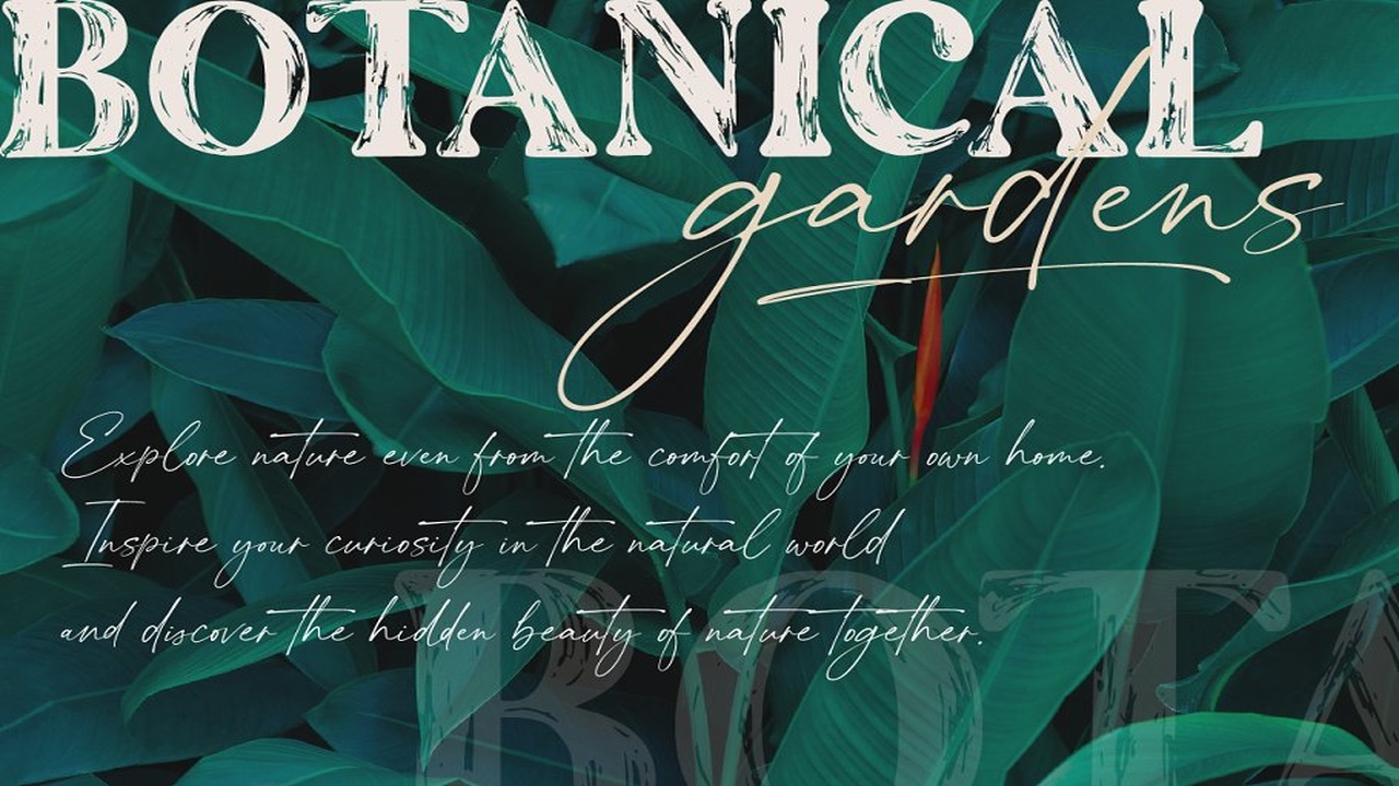 The Artisan A Hand Drawn Duo Font