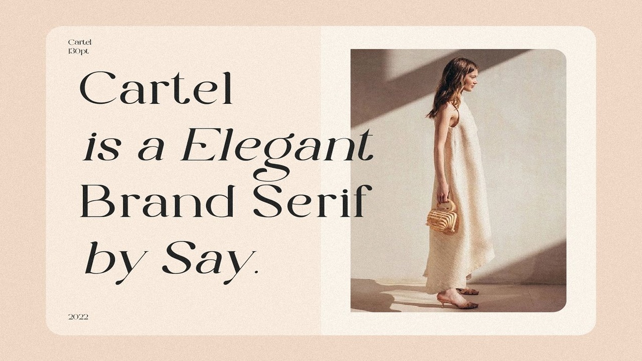 The Cartel Elegant Serif Font