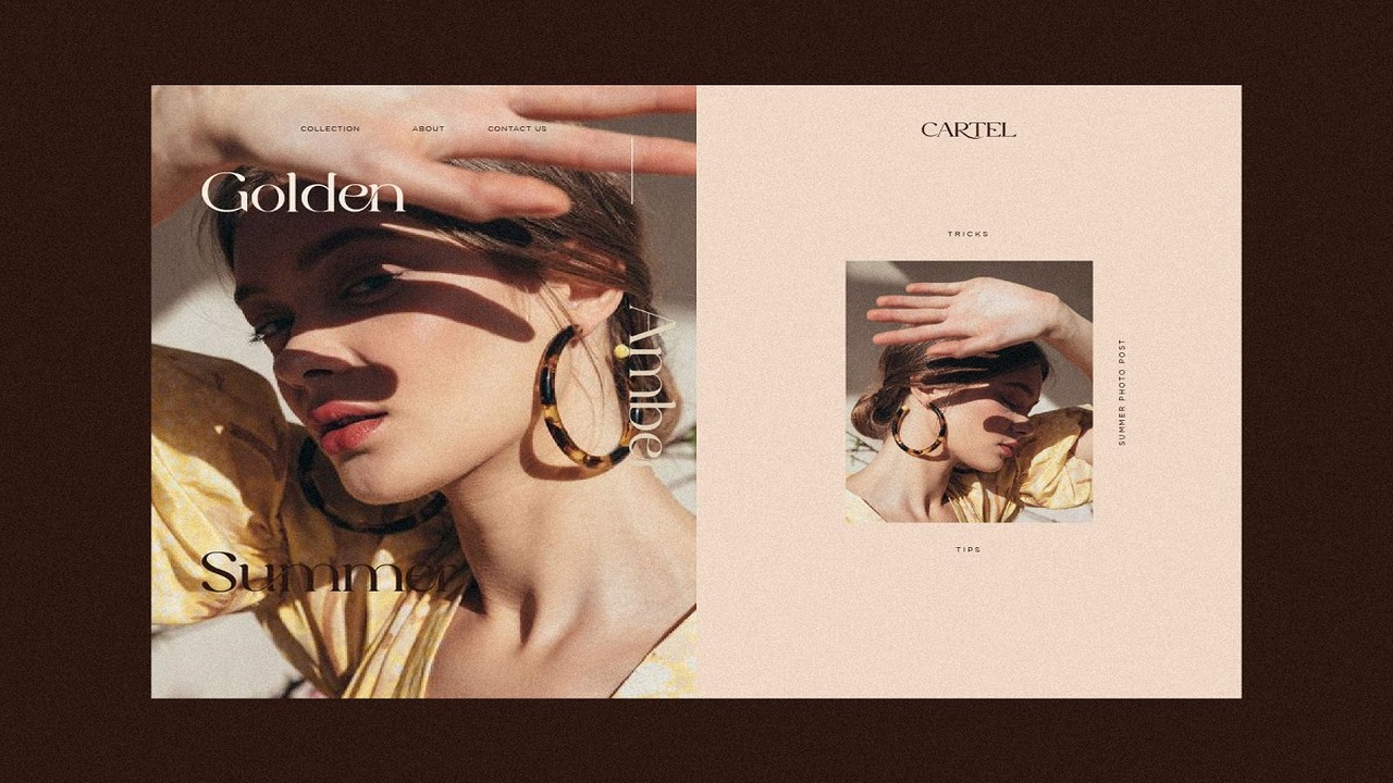 The Cartel Elegant Serif Font