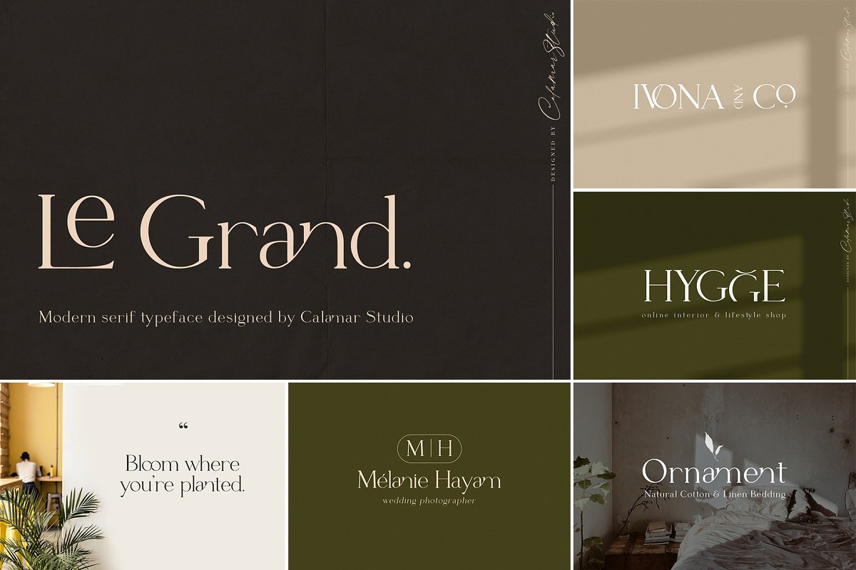 The Sans Serif Bundle Font