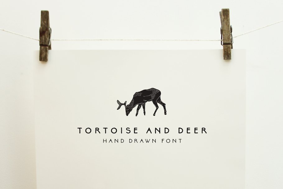 Tortoise and Deer Family Font