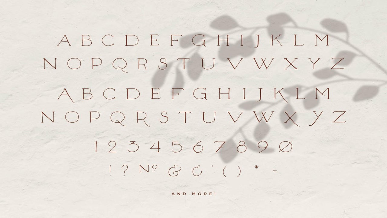 Unlikely Lily A Hand Drawn Serif Font