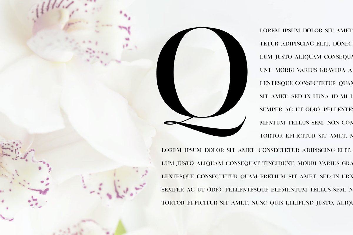 Vienna Modern Serif Font