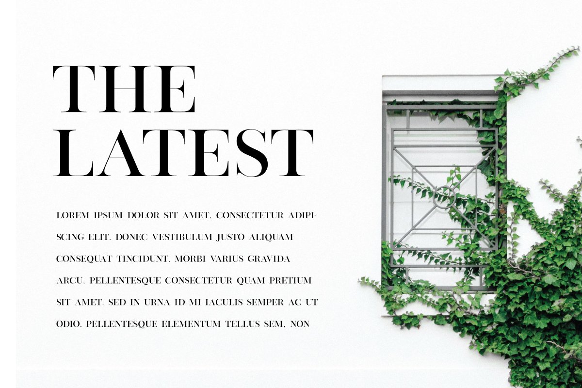 Vienna Modern Serif Font