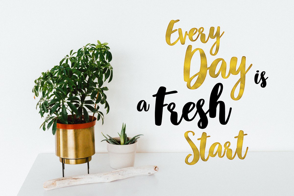 Vision bold script Font