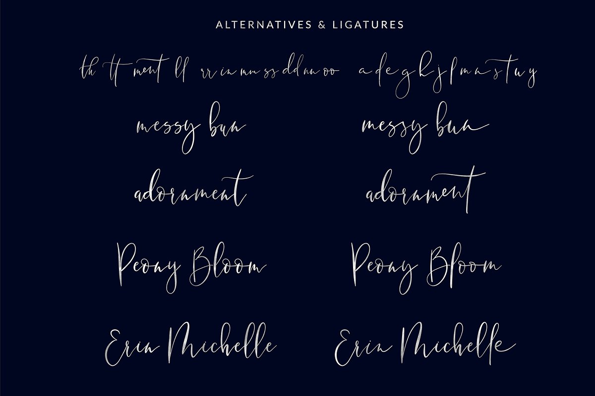 Wild Moon Casual Script Font