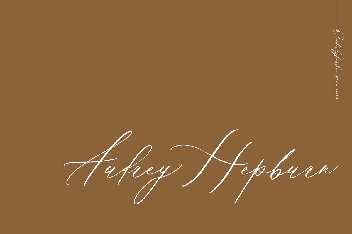 Wonder Garden | Latin&Cyrillic Font Free Download