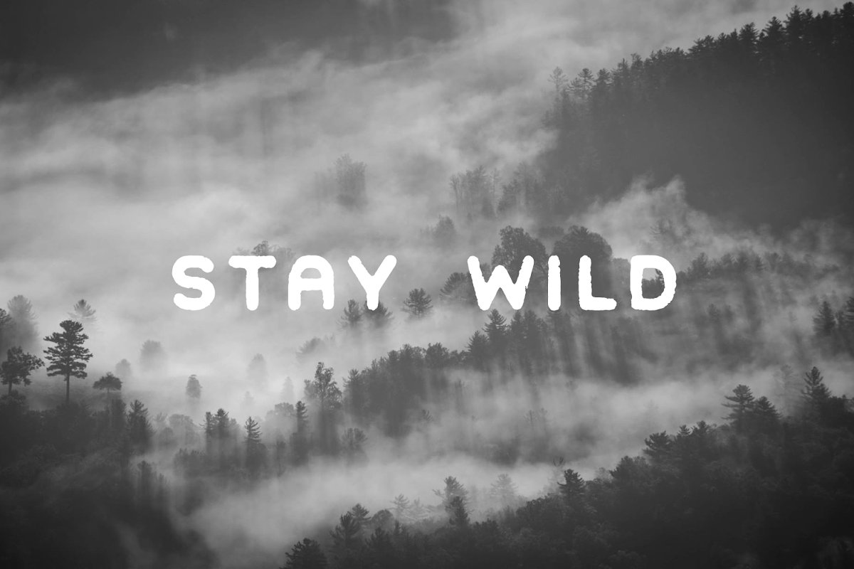 Woodcrafter Sans Family Font