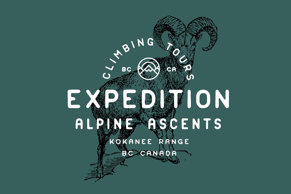 Woodcrafter Sans Family Font