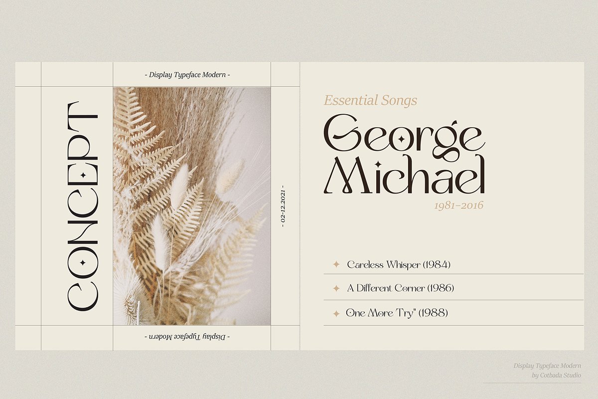 Yipes Display Typeface Font