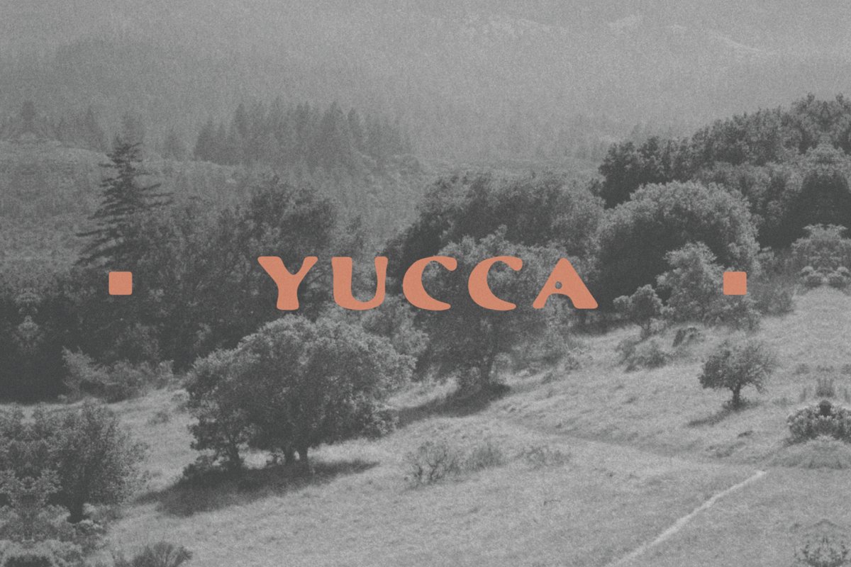 Yucca Font Free Download