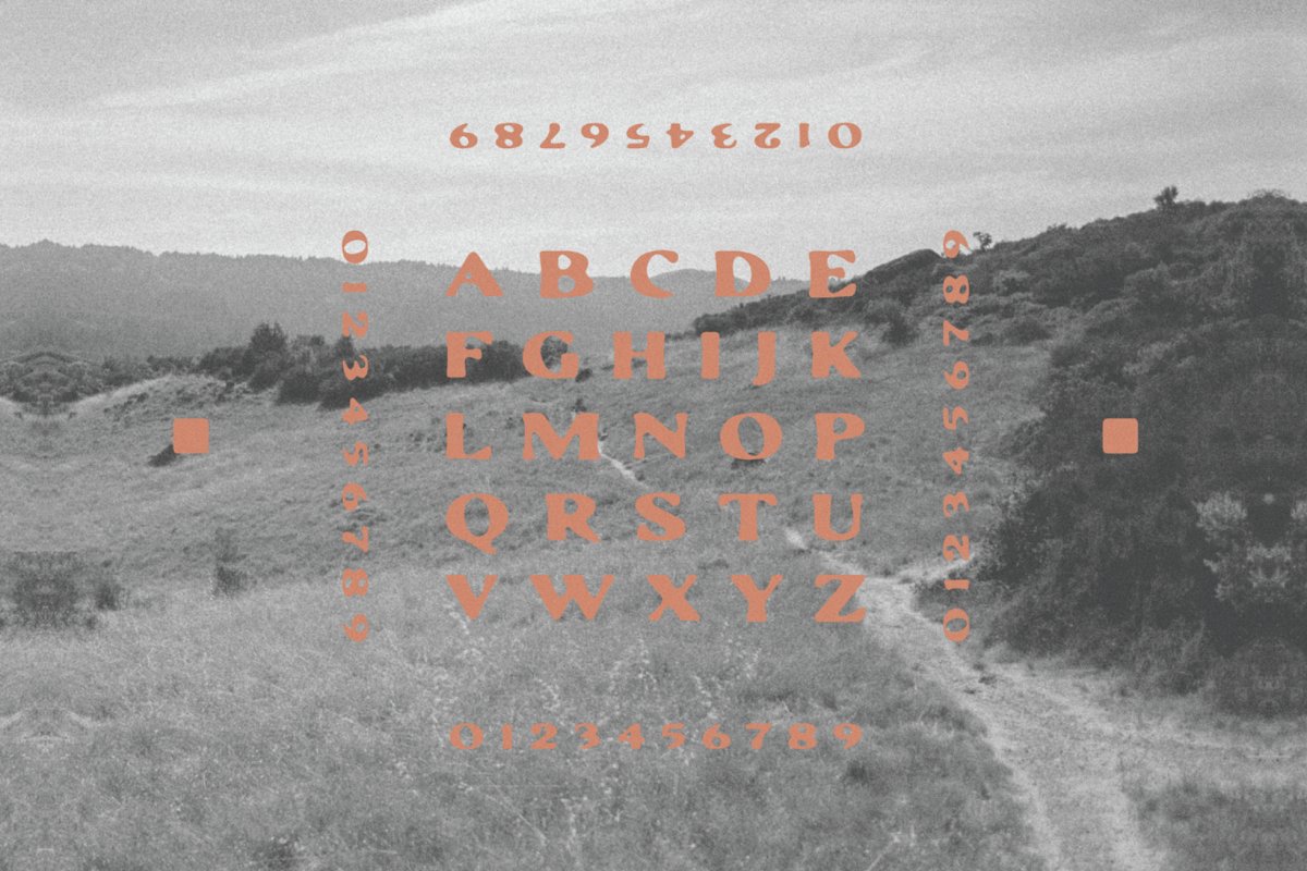 Yucca Font Free Download