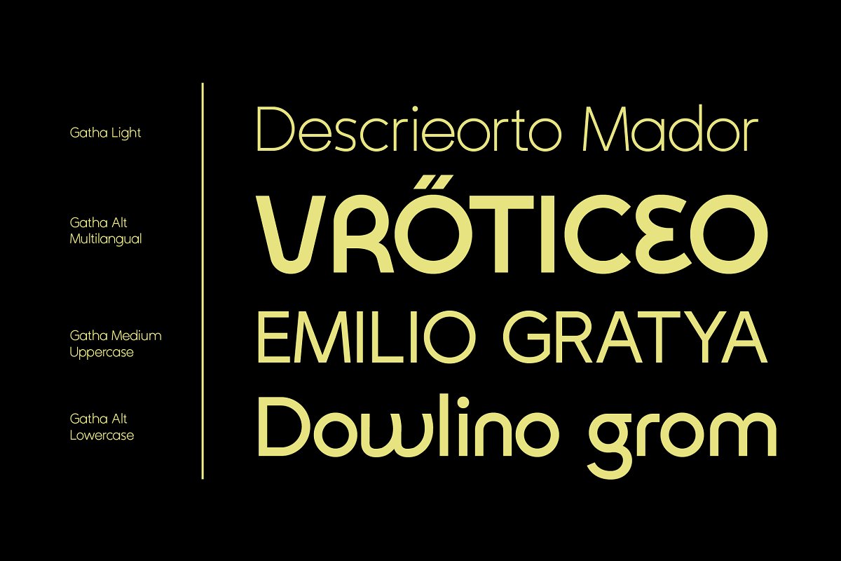 ZT Gatha Font Free Download