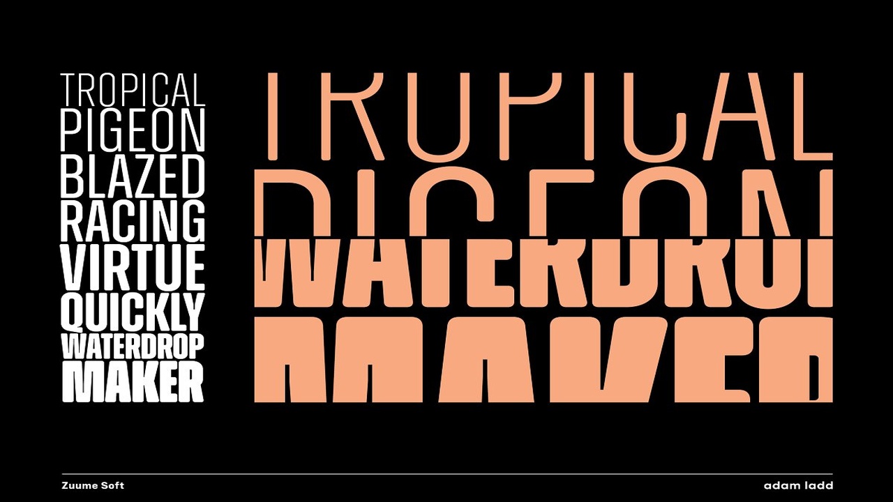 Zuume Soft Family Font